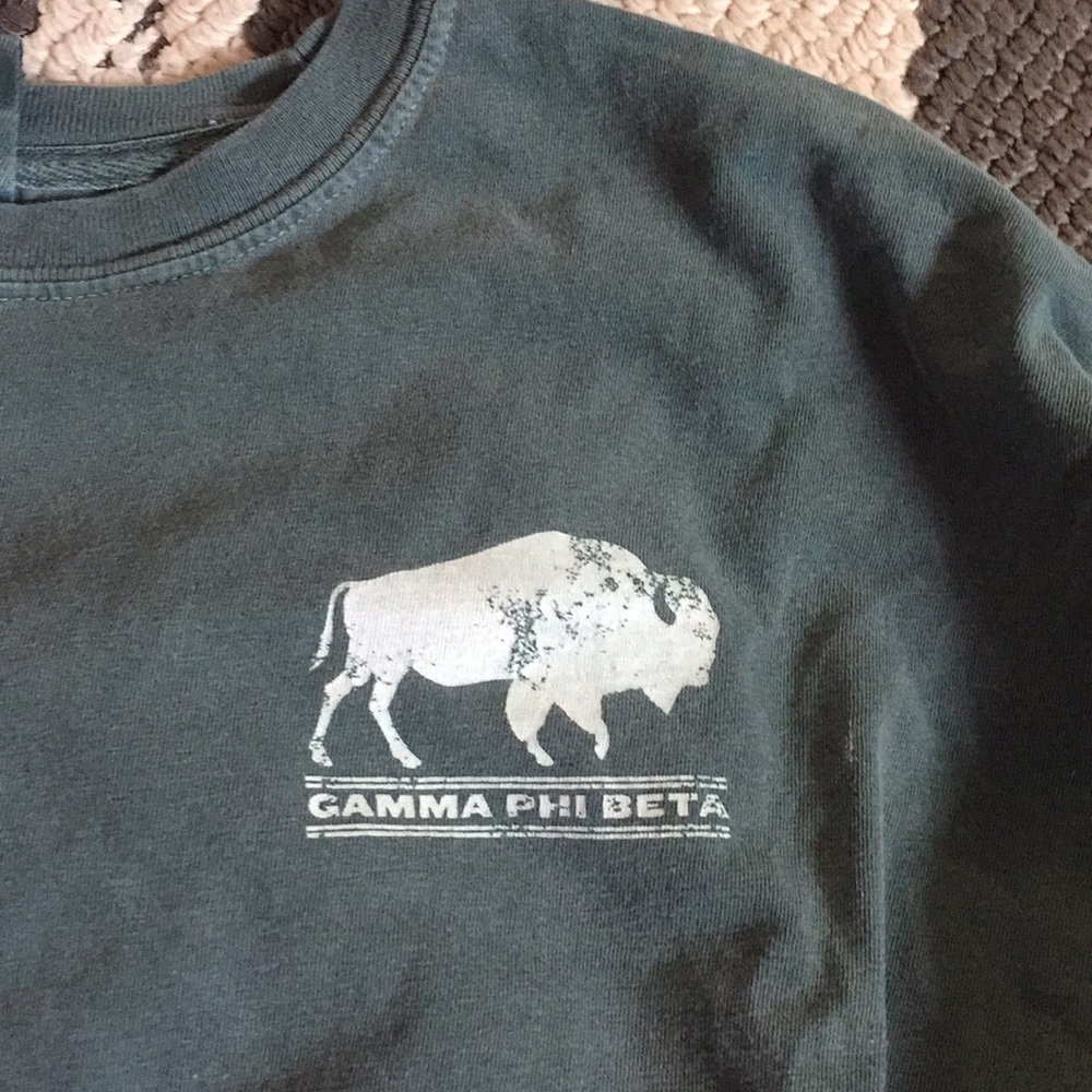 Gamma Phi Beta Patagonia like sorority shirt